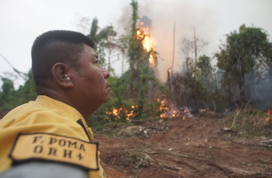 Chile envió ayuda humanitaria a Bolivia para combatir incendios forestales